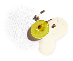 Eau de raisin bio et huile de raisin
