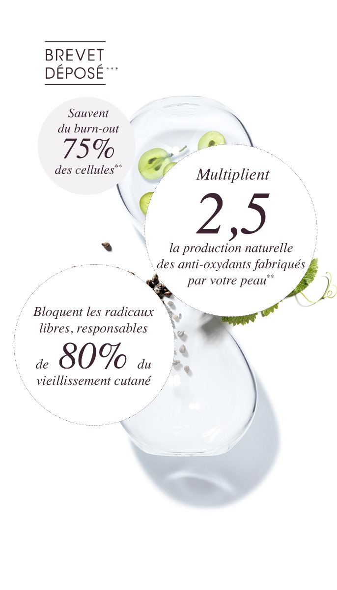 Polyphénols - Une efficacité prouvée